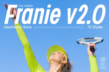 Franie Geometric Sans Font preview