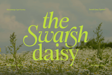 Swarsh Daisy Elegant Serif Display preview